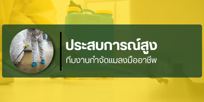 มืออาชีพ